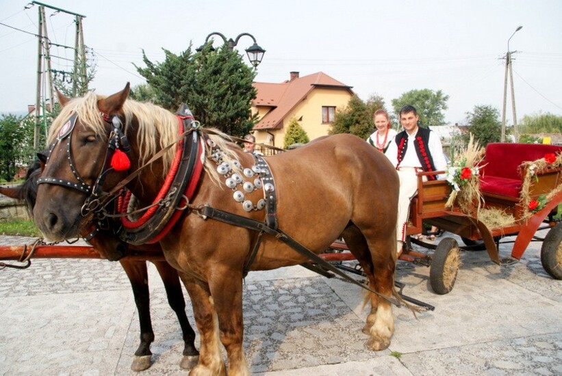 Dożynki Gminne w Brzuśniku