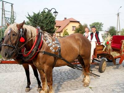 Dożynki Gminne w Brzuśniku