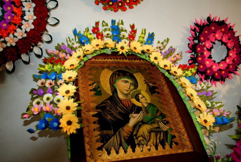 Kwiaty naszych ogrodów, pól i łąk - 2012