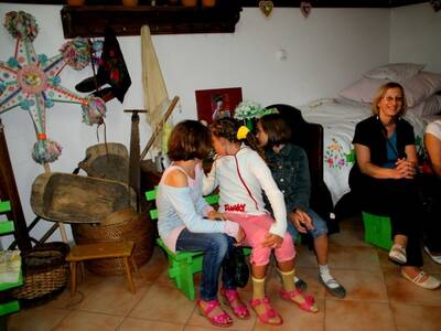 Obraz 14: Kwiaty naszych ogrodów, pól i łąk - 2012