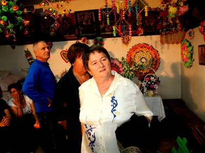 Obraz 15: Kwiaty naszych ogrodów, pól i łąk - 2012