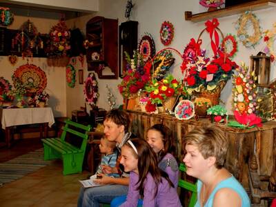 Obraz 19: Kwiaty naszych ogrodów, pól i łąk - 2012