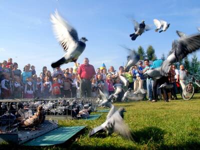 Obraz 13: Dożynki Gminne w Bystrej