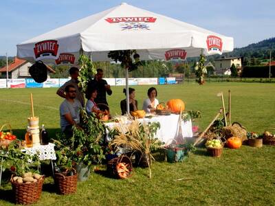 Obraz 15: Dożynki Gminne w Bystrej