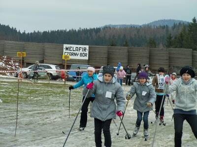 Obraz 3: DUDKI NA GWARKACH !