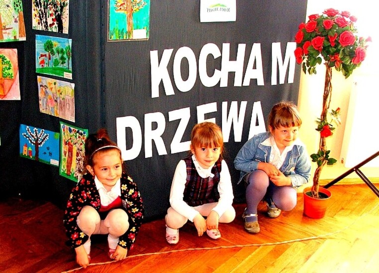 Kocham Drzewa - podsumowanie