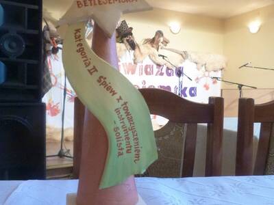 Obraz 39: Rekordowa ''Gwiazda Betlejemska'' 2014 j...