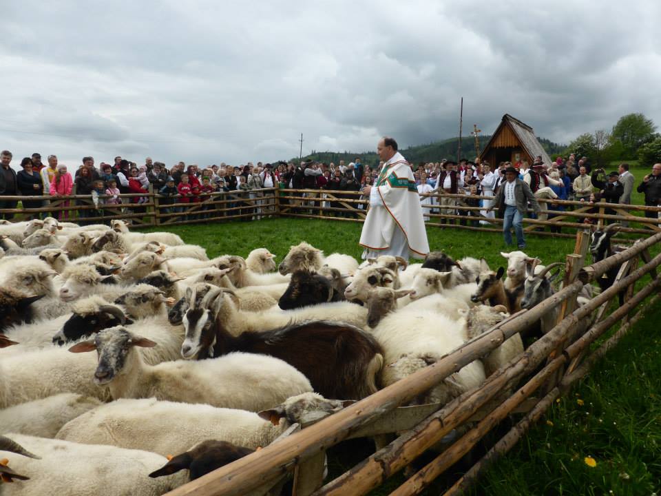 Poświęcenie owiec w Przybędzy