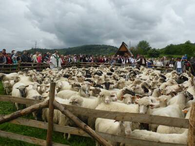 Obraz 12: Poświęcenie owiec w Przybędzy