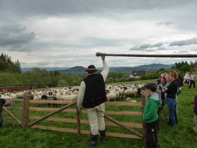 Obraz 17: Poświęcenie owiec w Przybędzy