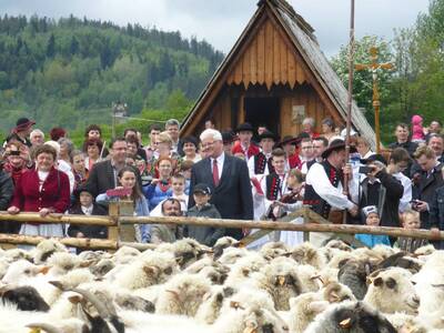 Obraz 21: Poświęcenie owiec w Przybędzy