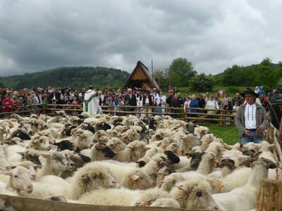 Obraz 25: Poświęcenie owiec w Przybędzy
