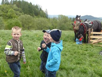 Obraz 26: Poświęcenie owiec w Przybędzy