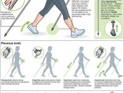 Obraz 2: NORDIC WALKING, czyli marsz złotego kija
