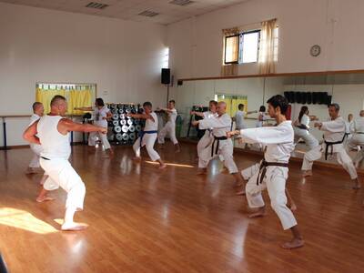 Obraz 3: Z ZIEMI WŁOSKIEJ DO POLSKI