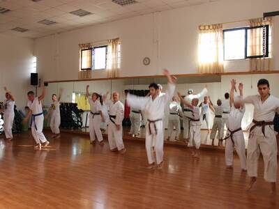 Obraz 4: Z ZIEMI WŁOSKIEJ DO POLSKI