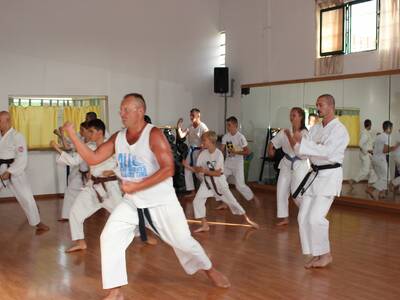 Obraz 12: Z ZIEMI WŁOSKIEJ DO POLSKI