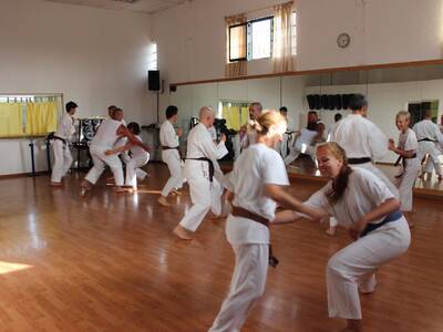 Obraz 14: Z ZIEMI WŁOSKIEJ DO POLSKI