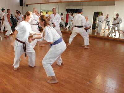 Obraz 15: Z ZIEMI WŁOSKIEJ DO POLSKI