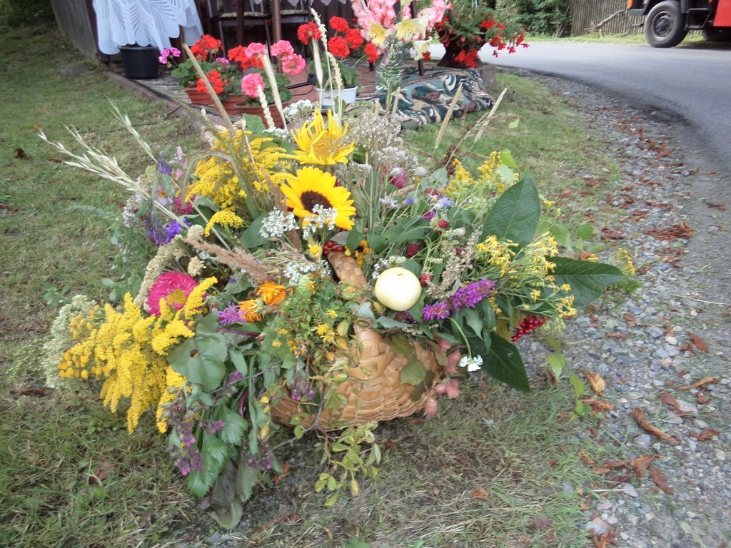 KONKURS BUKIETÓW ZIELNYCH - 5 VIII 2014