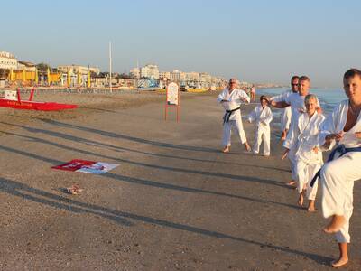 Obraz 4: ''Arawashi'' wylądował w Emilii - Romagny