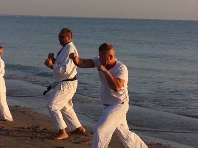 Obraz 7: ''Arawashi'' wylądował w Emilii - Romagny