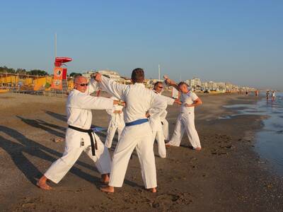 Obraz 9: ''Arawashi'' wylądował w Emilii - Romagny