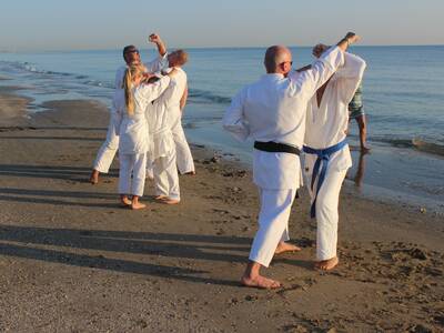 Obraz 10: ''Arawashi'' wylądował w Emilii - Romagn...