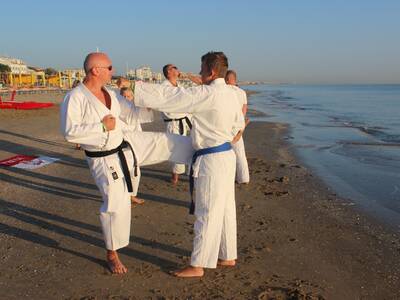 Obraz 11: ''Arawashi'' wylądował w Emilii - Romagn...