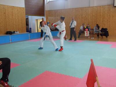 Obraz 5: SREBRO DLA ARAWASHI!