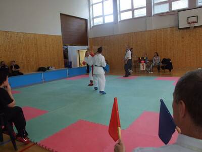 Obraz 7: SREBRO DLA ARAWASHI!