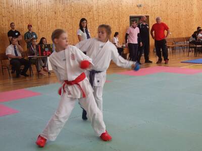 Obraz 9: SREBRO DLA ARAWASHI!