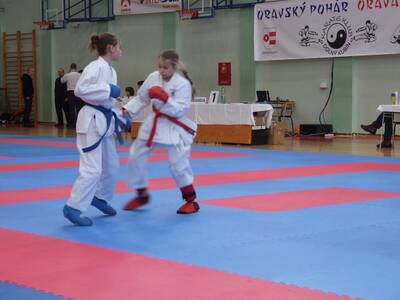 Obraz 7: Brązowa Orawa dla Wieprza!