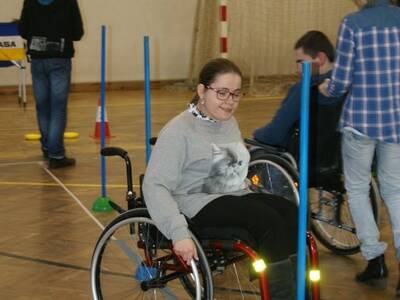 Obraz 18: Stowarzyszenie Dzieci Serc