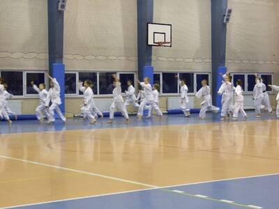 Obraz 2: Profesor medycyny i młodzi adapci karate