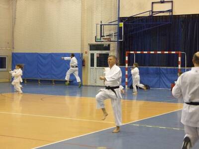 Obraz 5: Profesor medycyny i młodzi adapci karate
