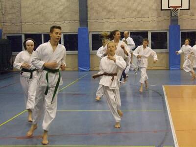 Obraz 6: Profesor medycyny i młodzi adapci karate