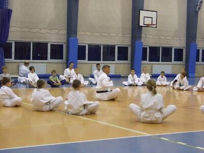 Obraz 8: Profesor medycyny i młodzi adapci karate