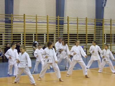 Obraz 9: Profesor medycyny i młodzi adapci karate