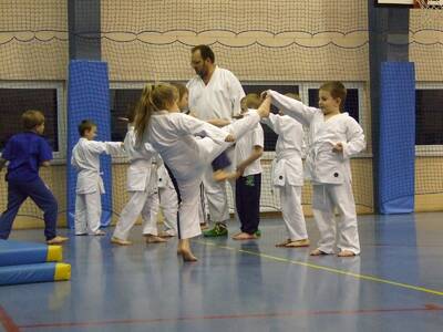 Obraz 12: Profesor medycyny i młodzi adapci karate