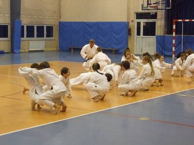 Obraz 13: Profesor medycyny i młodzi adapci karate