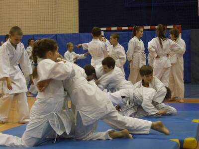 Obraz 15: Profesor medycyny i młodzi adapci karate