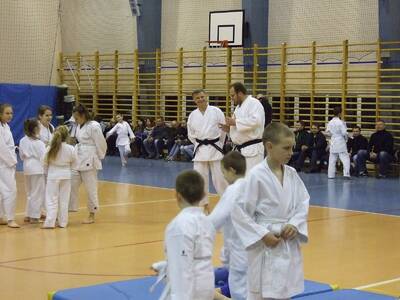 Obraz 17: Profesor medycyny i młodzi adapci karate