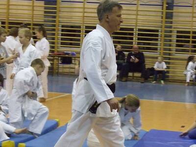 Obraz 18: Profesor medycyny i młodzi adapci karate
