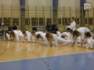 Obraz 19: Profesor medycyny i młodzi adapci karate