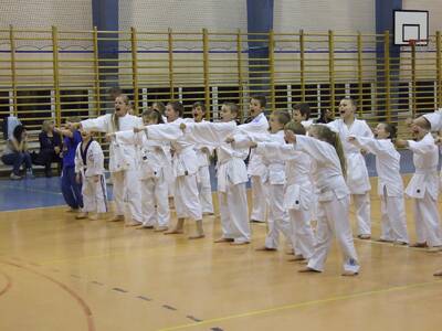 Obraz 20: Profesor medycyny i młodzi adapci karate