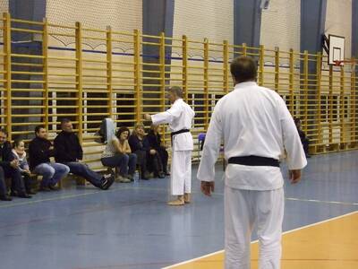 Obraz 22: Profesor medycyny i młodzi adapci karate