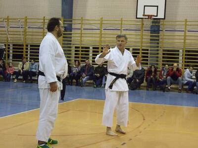 Obraz 24: Profesor medycyny i młodzi adapci karate