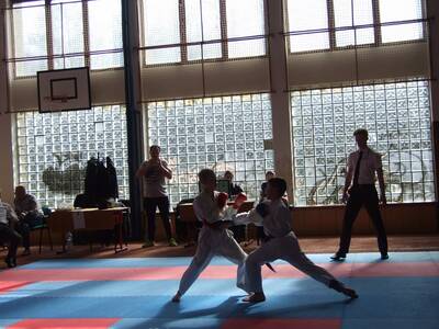 Obraz 10: Wiosna na medal!