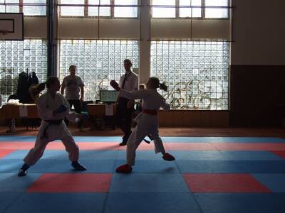 Obraz 13: Wiosna na medal!